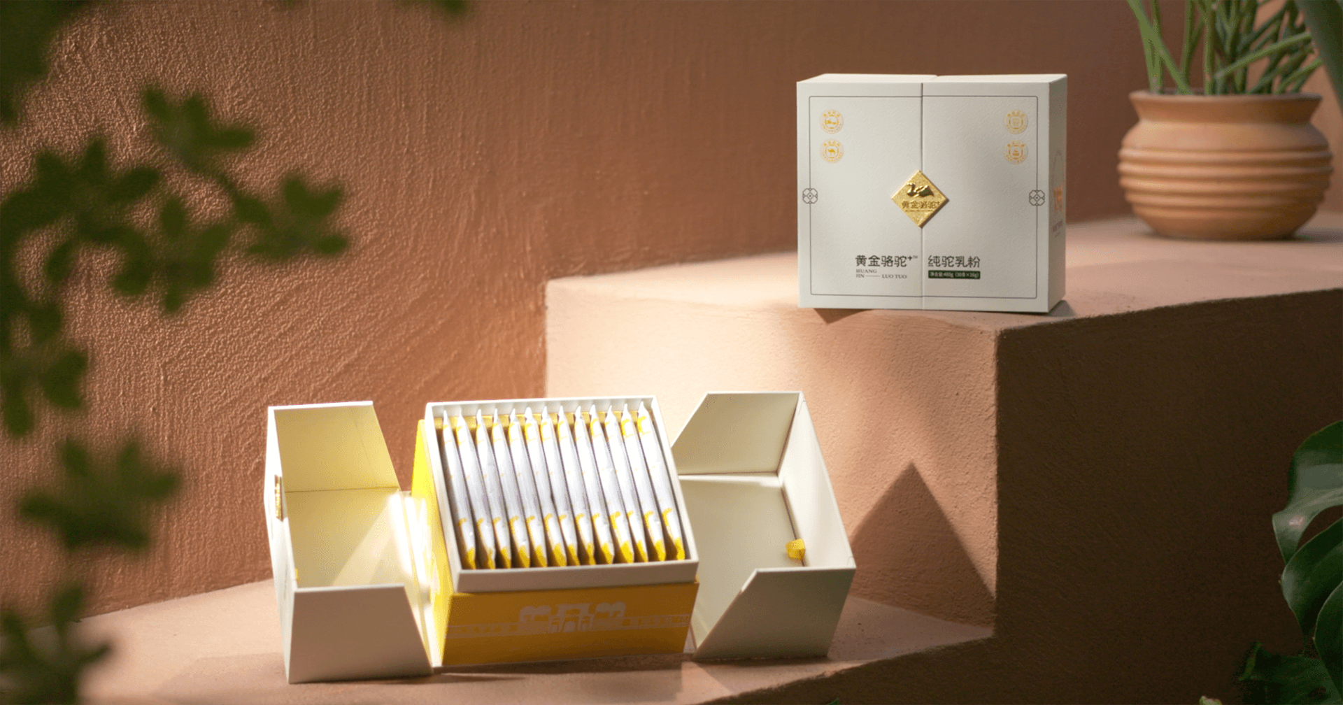 定位小众高端乳粉，jinnianhui今年会推出驼奶品牌“黄金骆驼+”，角逐乳品新市场！